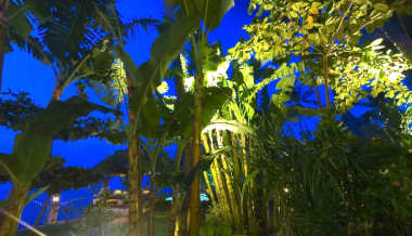 Villa Garden in the Night