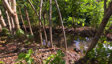 Balinese River Toilet