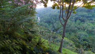 Puri Bayu Ayung River